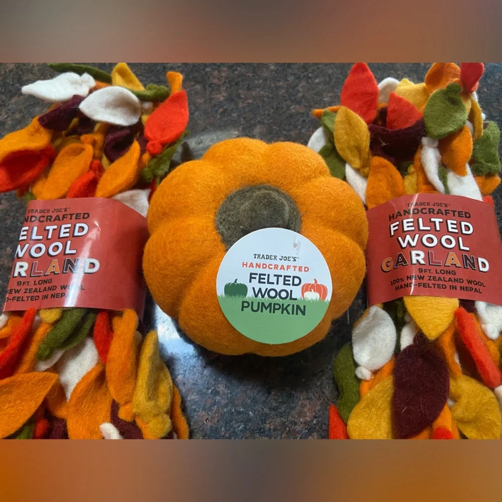 Trader Joe's Handcrafted Felted Wool Pumpkin & Autumn Leaf Garland Set